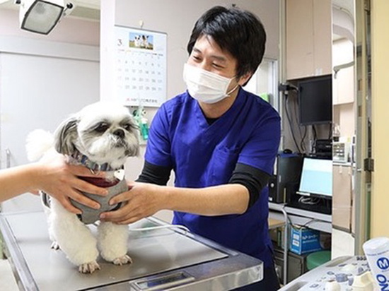 長く一緒にいるための「早期発見」「早期治療」