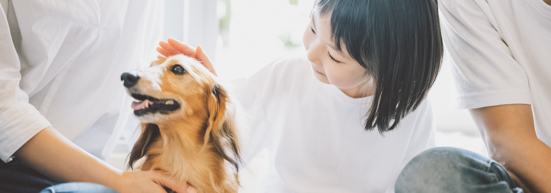 コミュニケーションを大事に、いつでも分かりやすい説明と、丁寧な治療を心がけます。