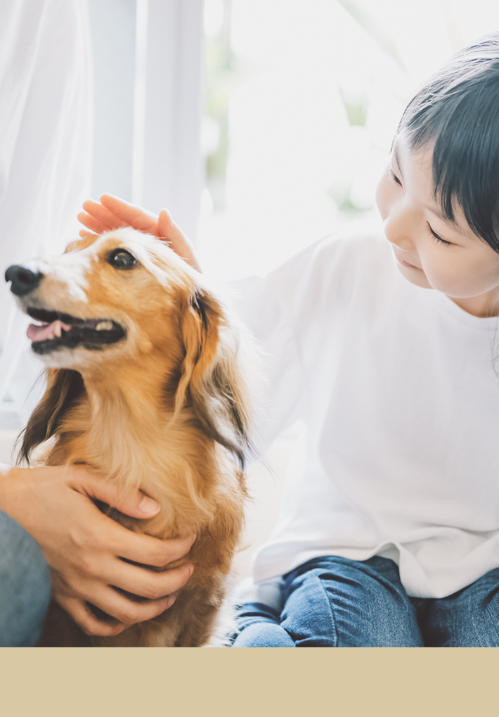 コミュニケーションを大事に、いつでも分かりやすい説明と、丁寧な治療を心がけます。